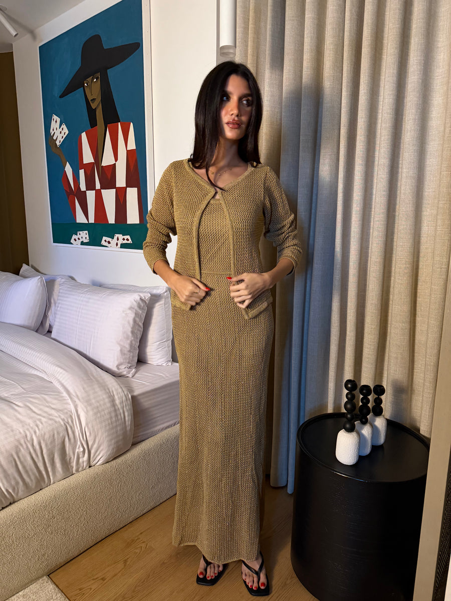 Angelina Shiny Dress